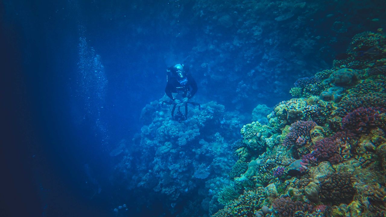 Scuba diver swimming beside a reef wall in blue water