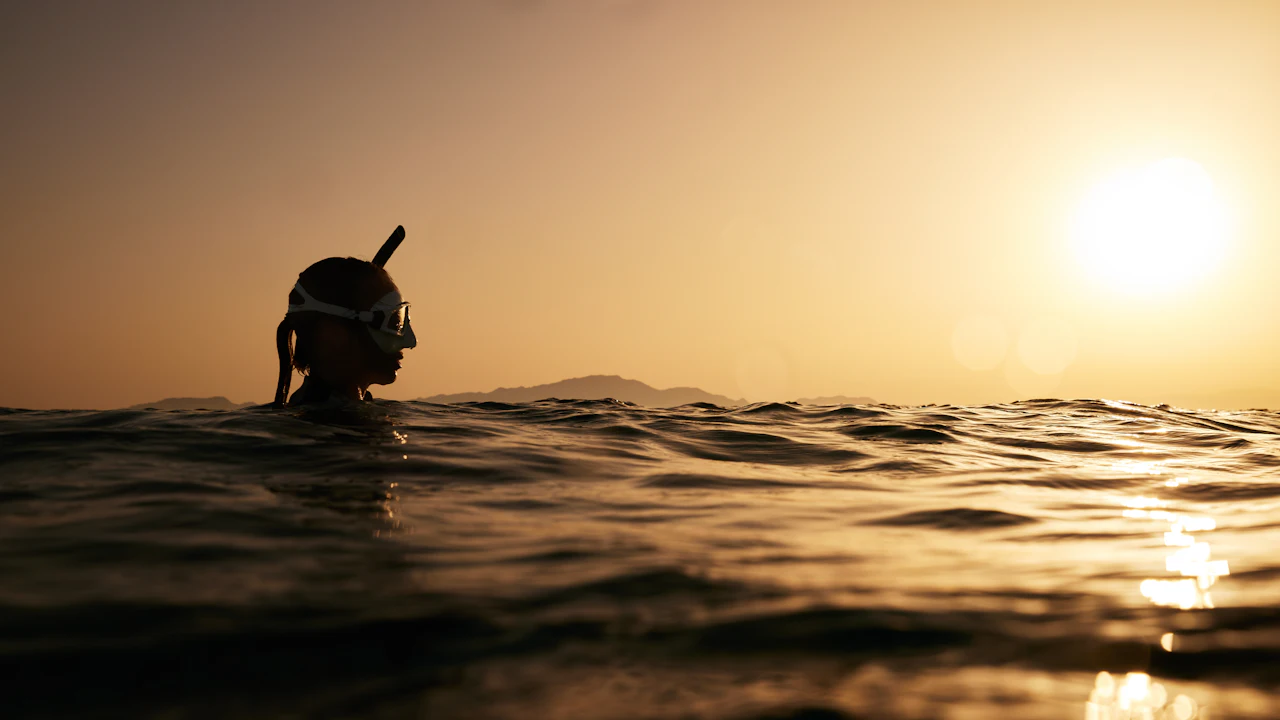 Snorkeler silhouetted at the surface at sunset