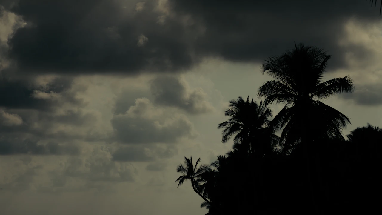 Dark storm clouds gathering over a tropical beach lined with palm trees