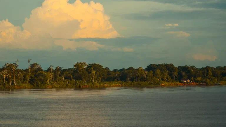 Calm brown river lined with dense forest under a cloudy sky