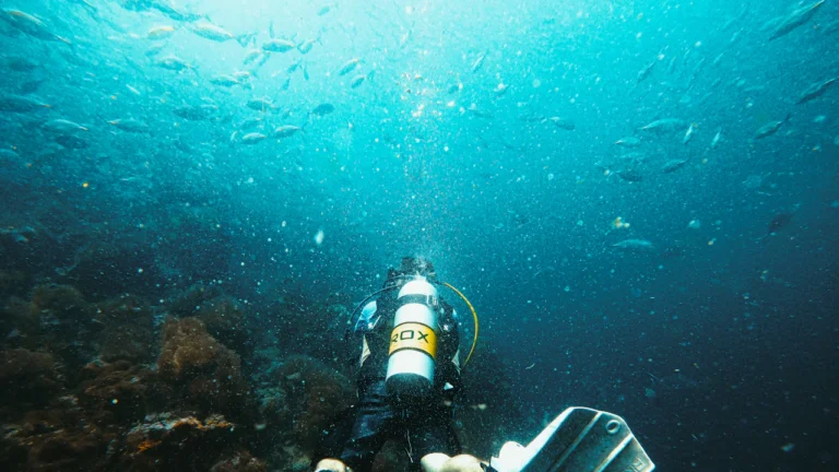 Scuba diver swimming past coral with a school of fish overhead