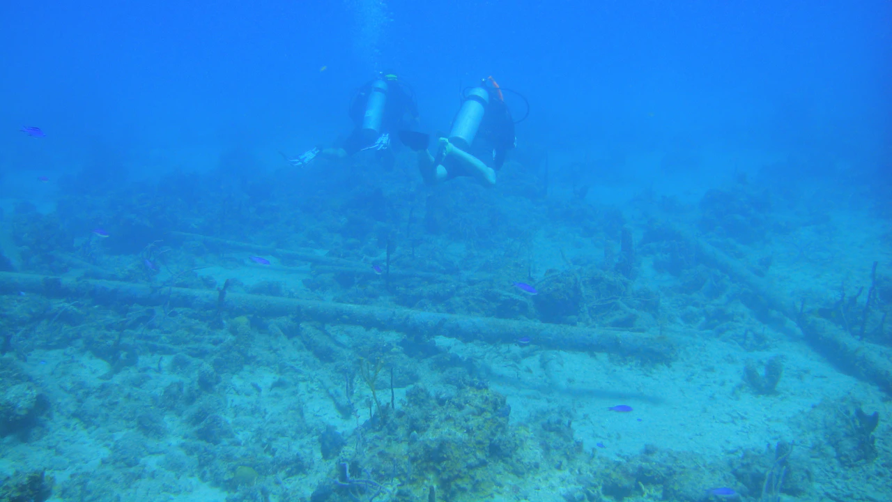 Two divers swimming over a sandy reef in blue water