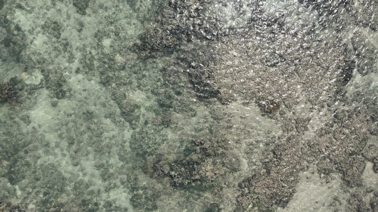 Shallow rocky seabed seen through clear water