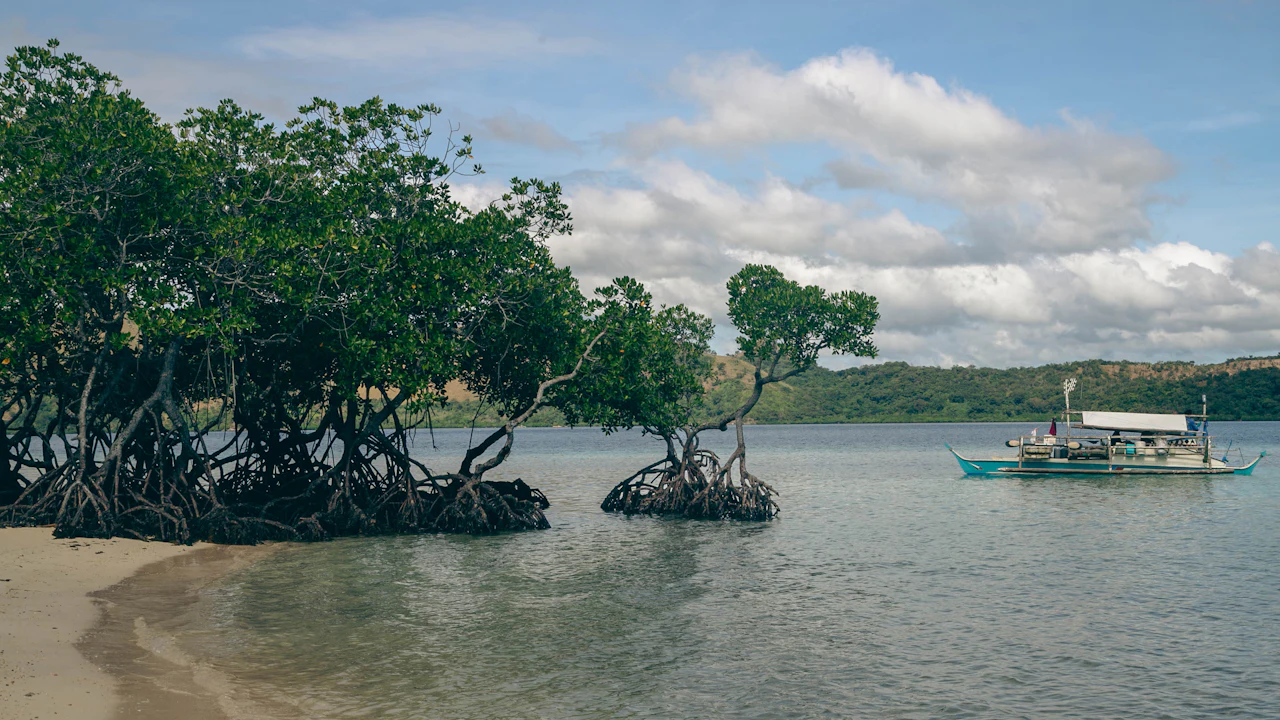 Calm channel lined with mangroves and a small boat at anchor