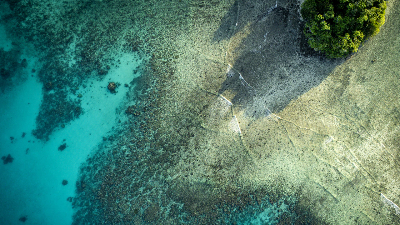 Aerial view of a shallow reef beside a green shoreline