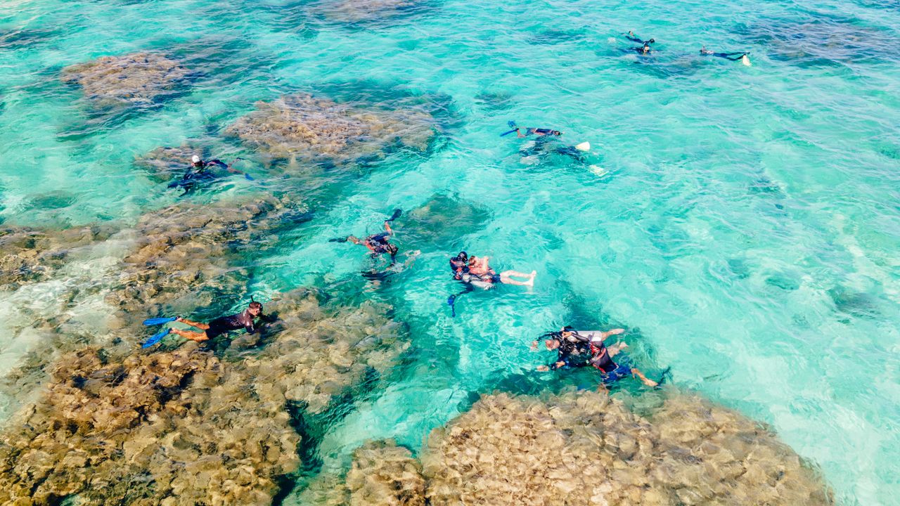 Aerial view of divers swimming over a shallow coral reef