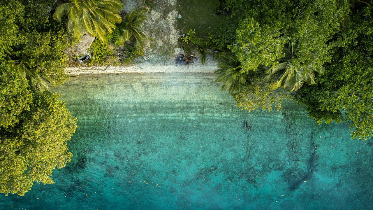 Clear turquoise lagoon framed by tropical trees
