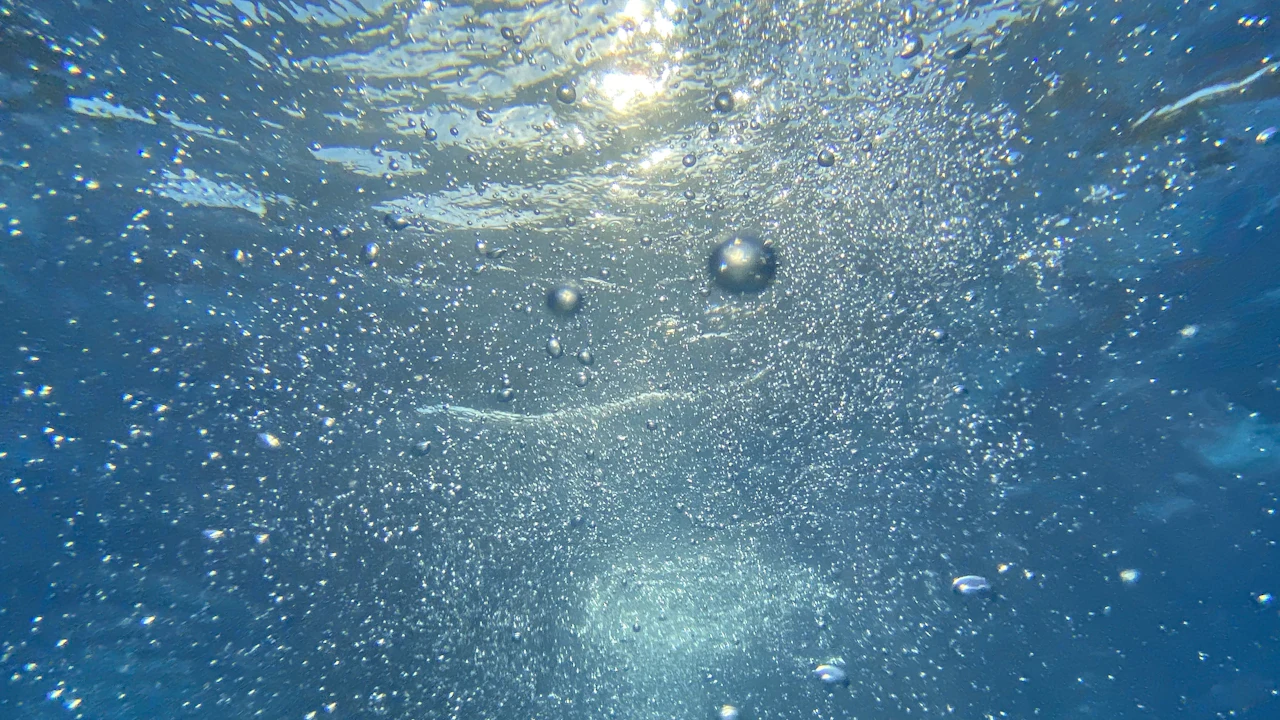 Bubbles rising toward the surface in blue water