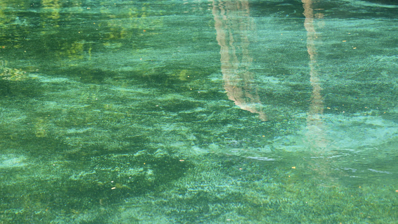 Clear shallow water over a sandy seabed