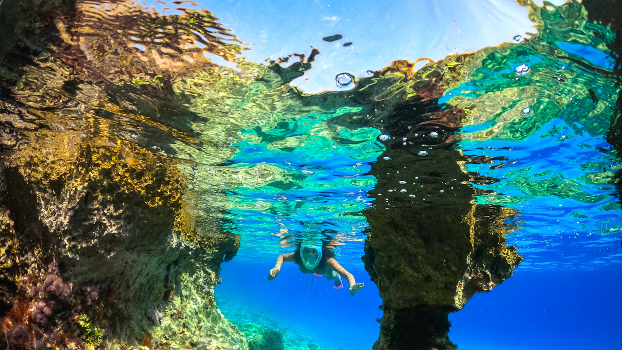 Snorkelers swimming near a reef in clear water