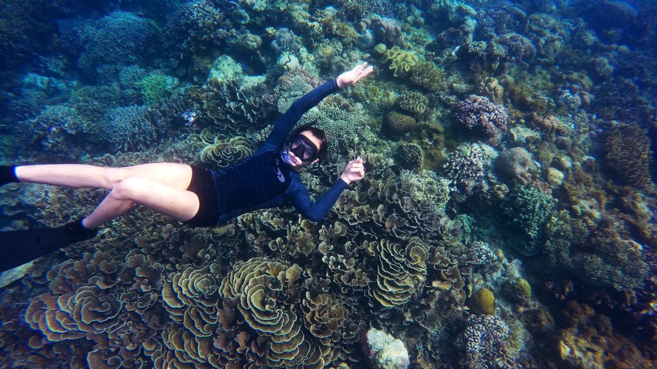Snorkeler in a long-sleeved suit swimming over coral