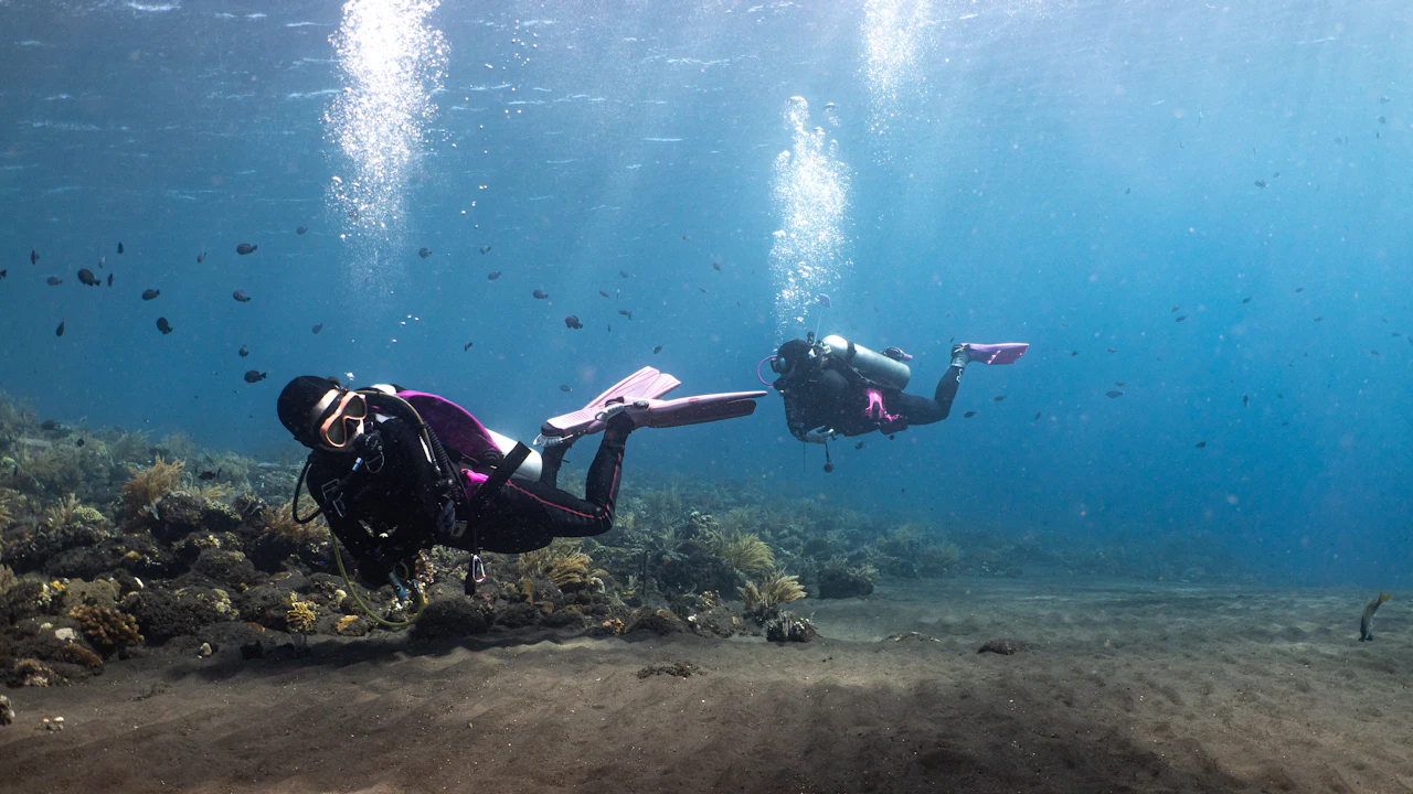 Two scuba divers swimming together over a sandy reef
