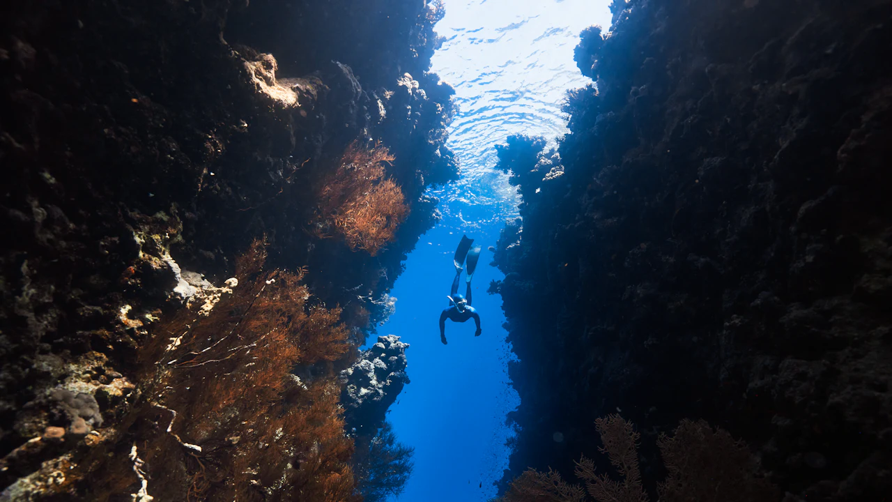 Divers descending through a narrow reef canyon
