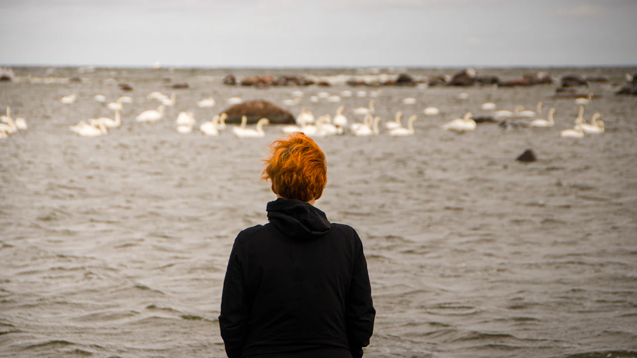 Person in a dark coat watching birds on a lake