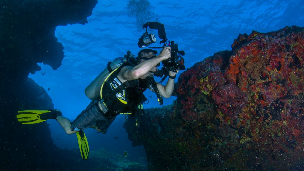 Underwater photographer framing a coral head with a camera and strobes