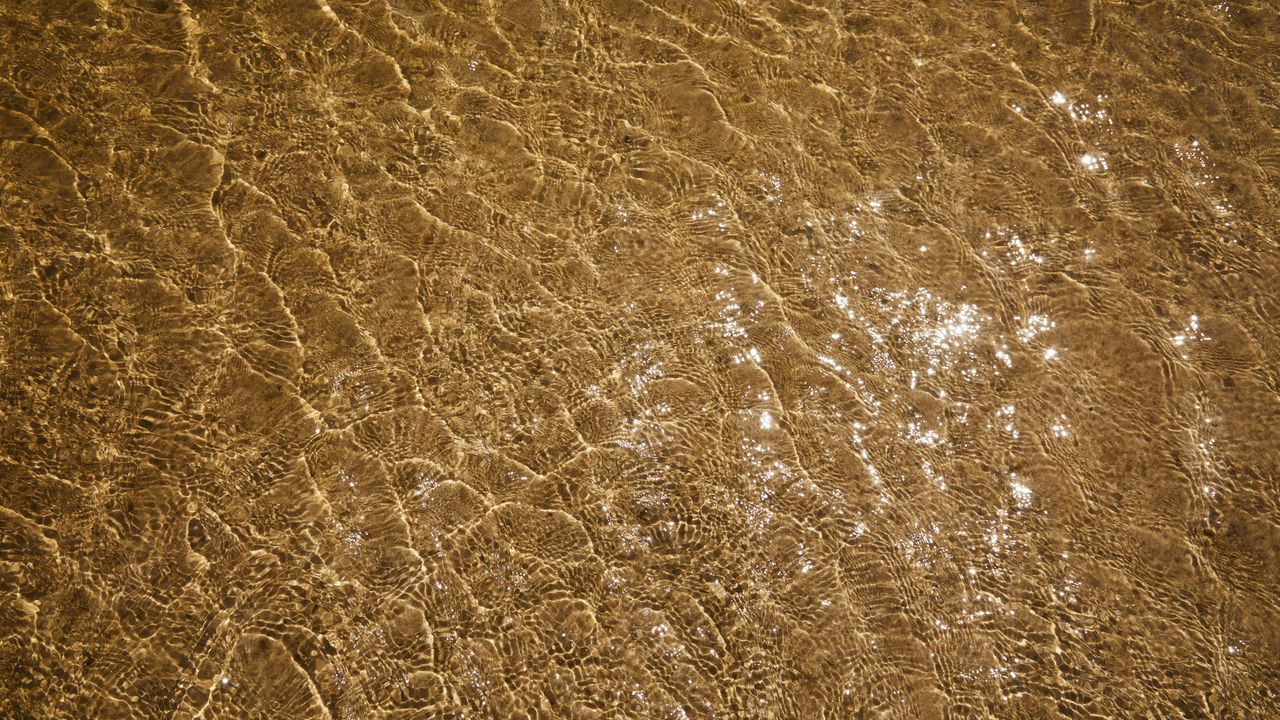 Sunlight rippling over a shallow sandy seabed