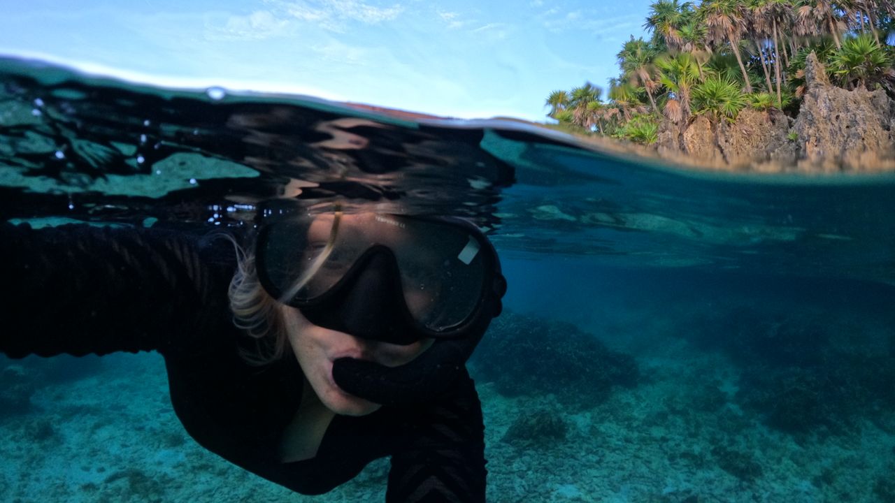 Snorkeler swimming in clear water near a rocky shore
