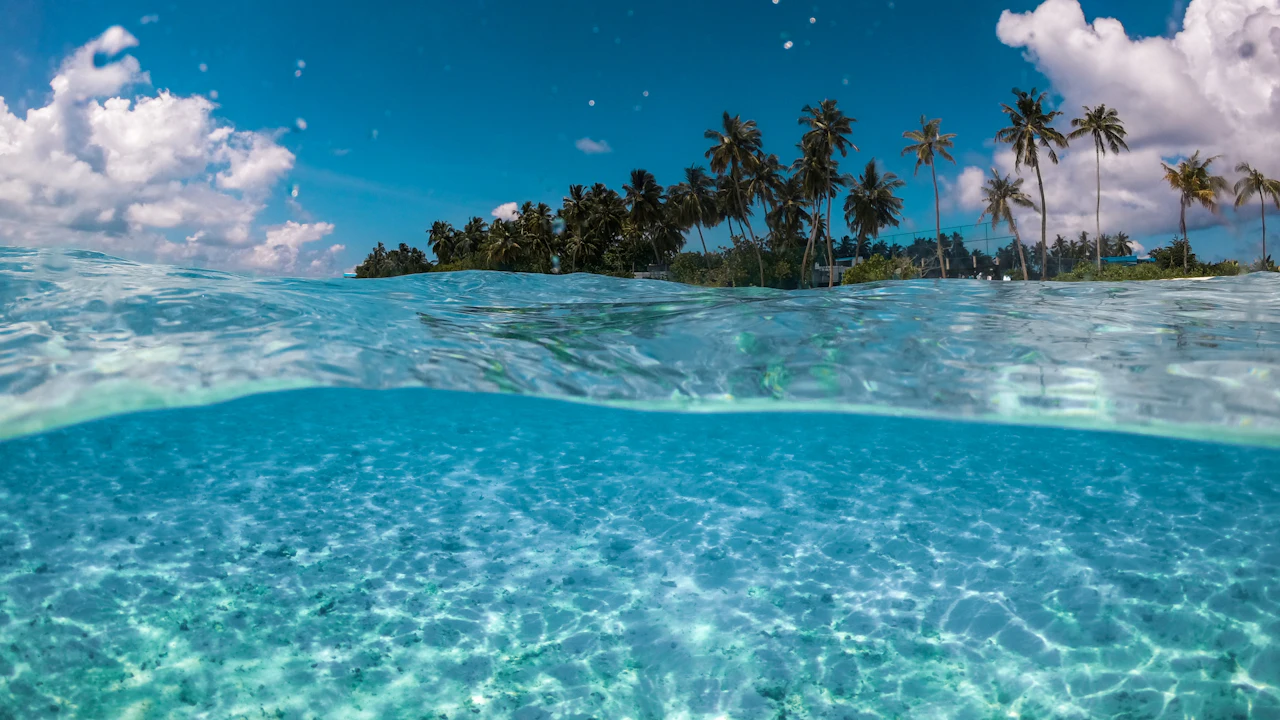 Clear turquoise water below a palm-lined island