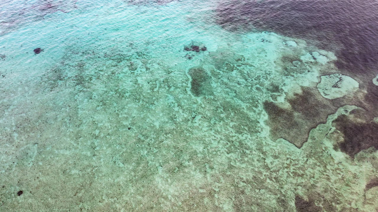Aerial view of shallow coral and sand in clear water