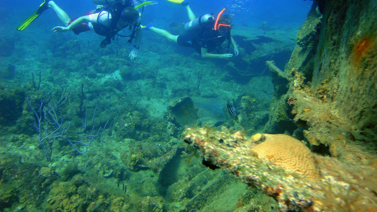 Two divers swimming over a rocky reef