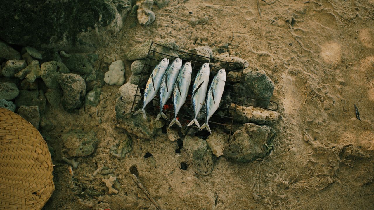 Fresh fish laid out on stones