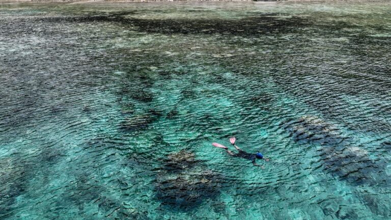 Snorkeler in a mask and fins floating face down above a sunlit coral reef