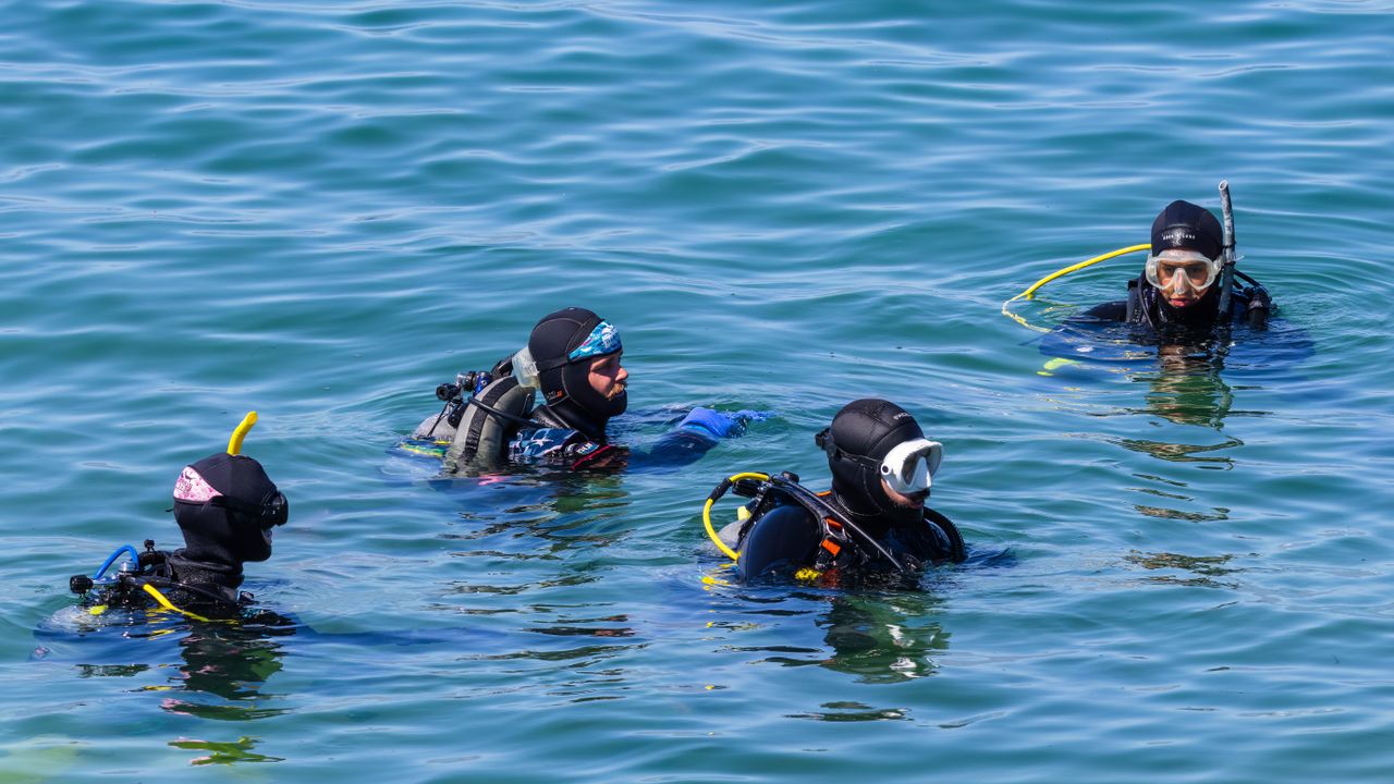 Group of scuba divers floating at the surface after a dive