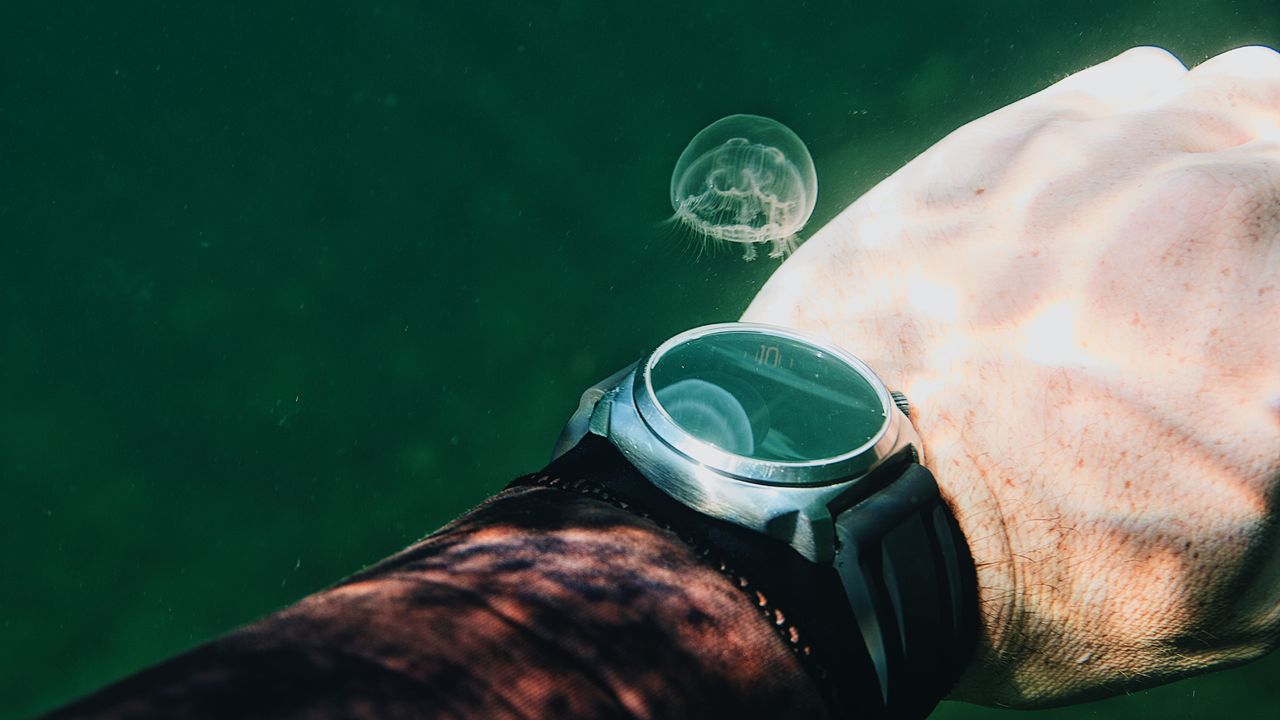 Dive computer on a diver's wrist showing depth and time underwater
