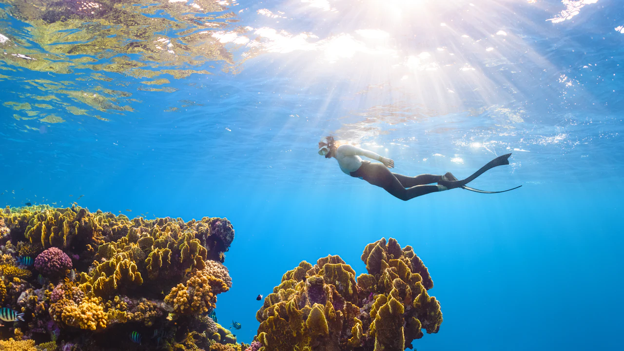 Snorkeler swimming above a colorful coral reef in clear water