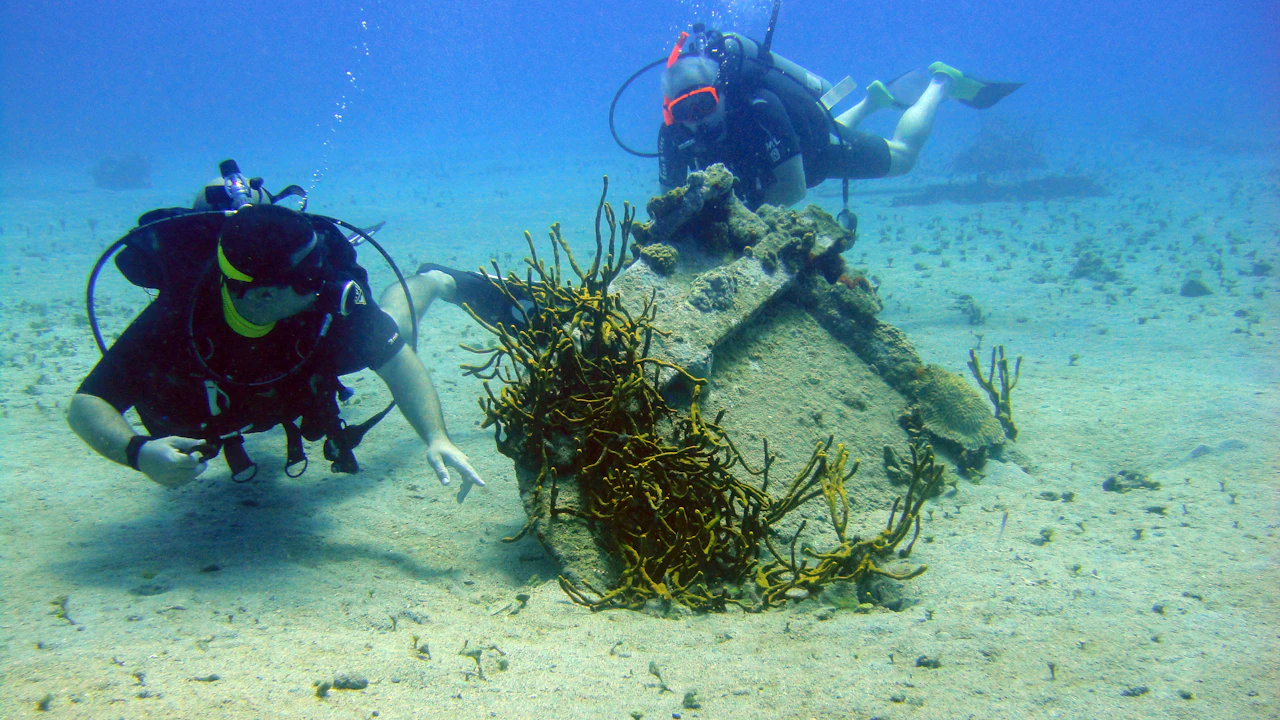 Two scuba divers swimming side by side over a shallow coral reef