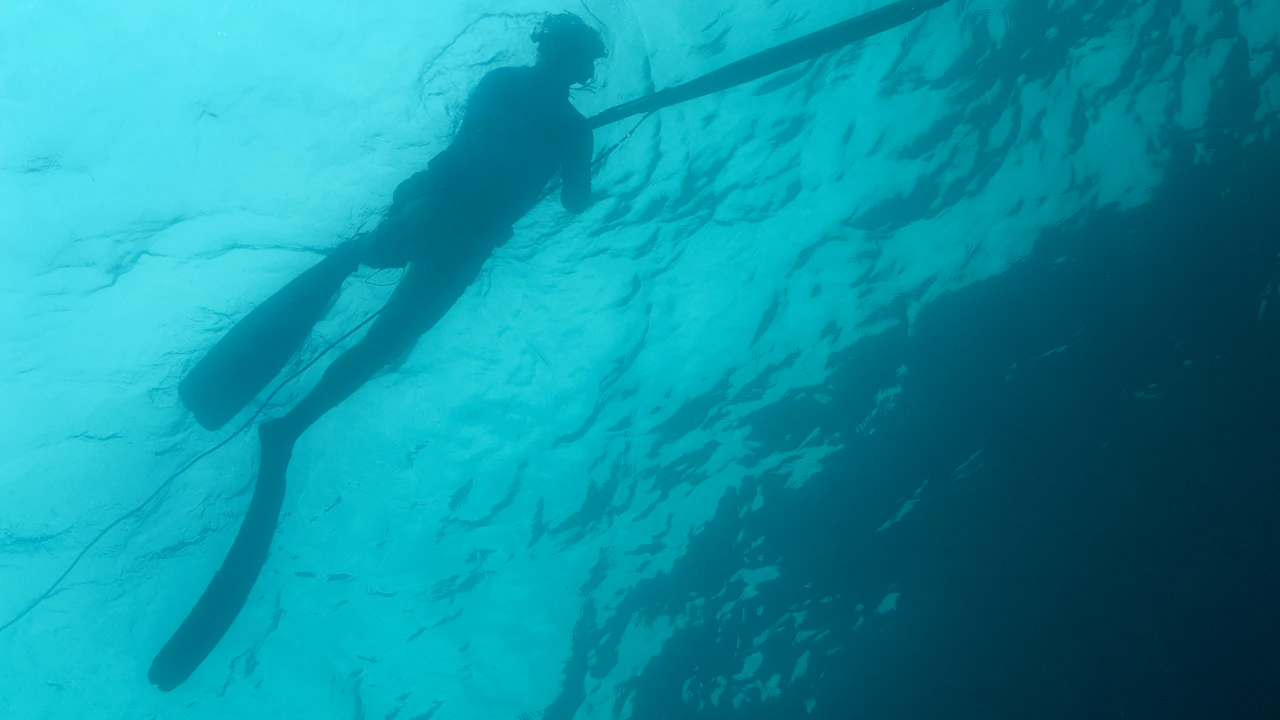 Diver silhouetted swimming in blue water