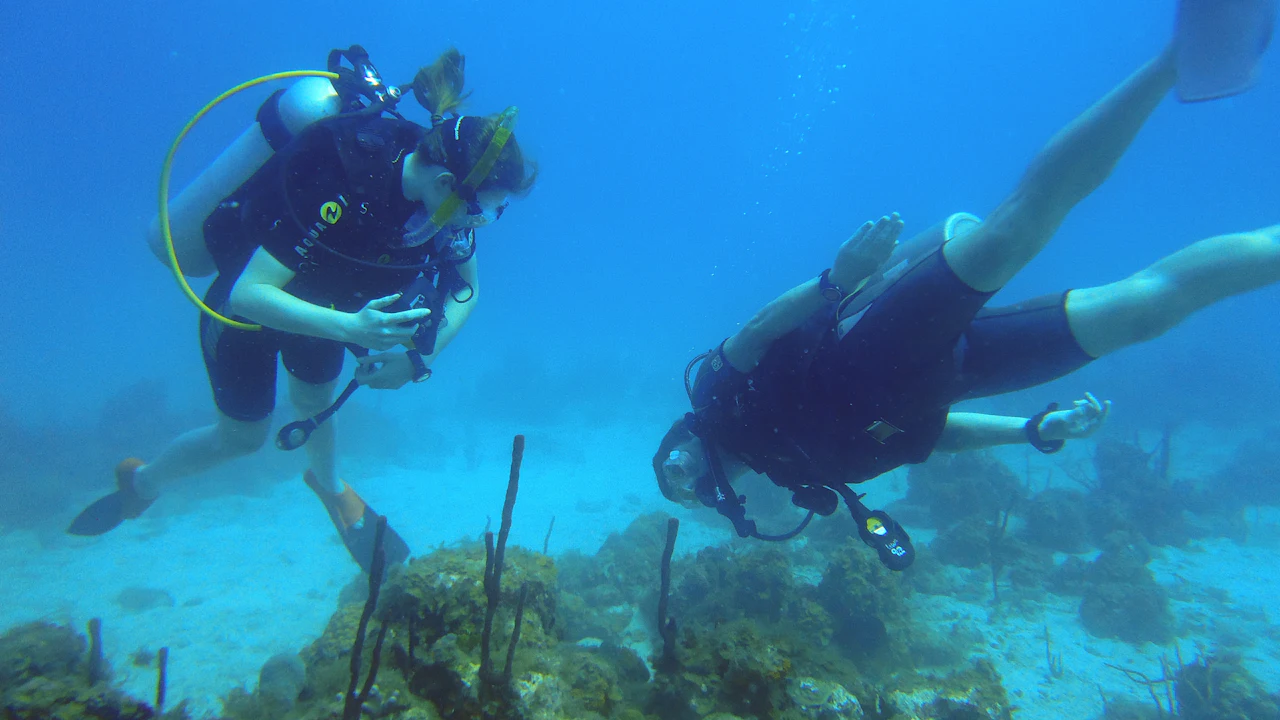 Two scuba divers swimming over a shallow reef