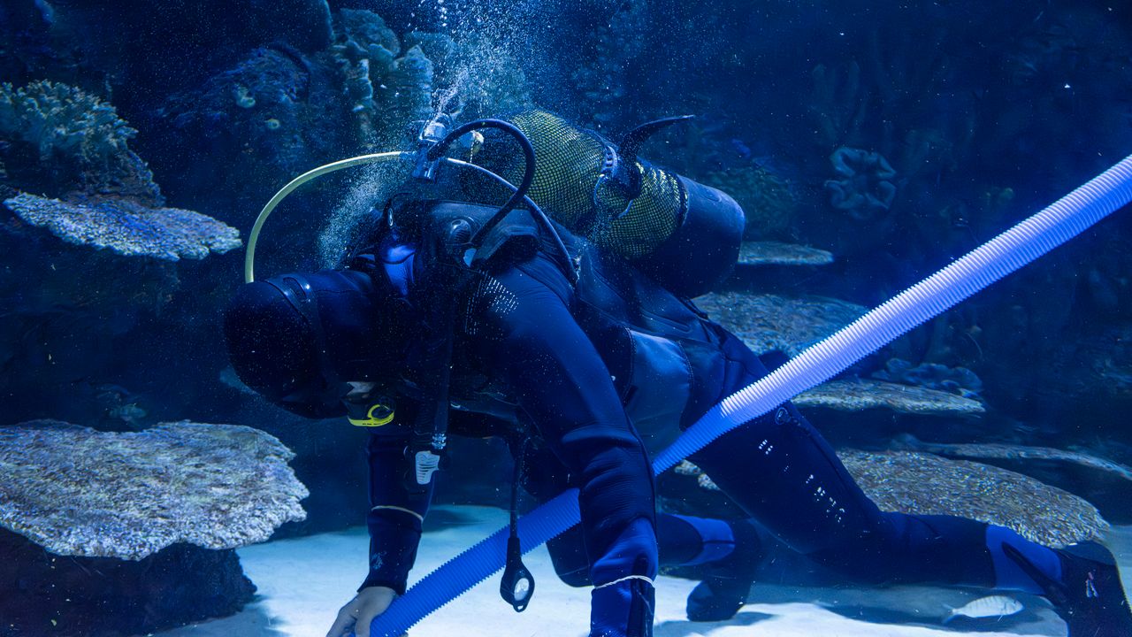 Diver in full scuba gear inside a large aquarium tank