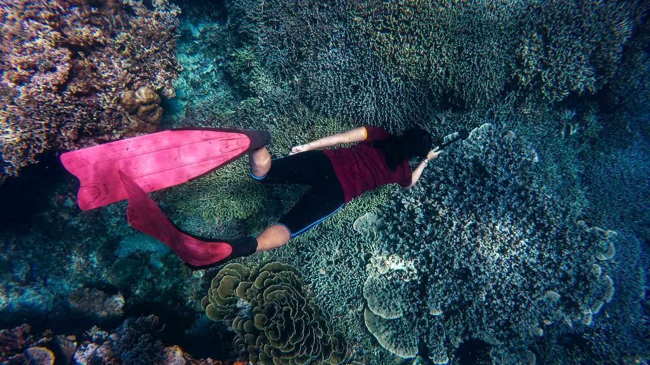 Swimmer in pink fins gliding over a coral reef