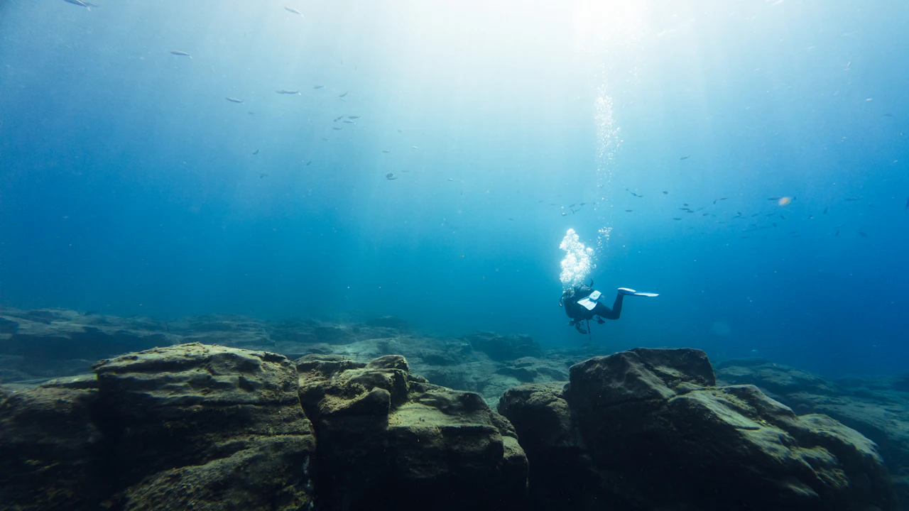 Diver swimming over rocks in sunlit blue water