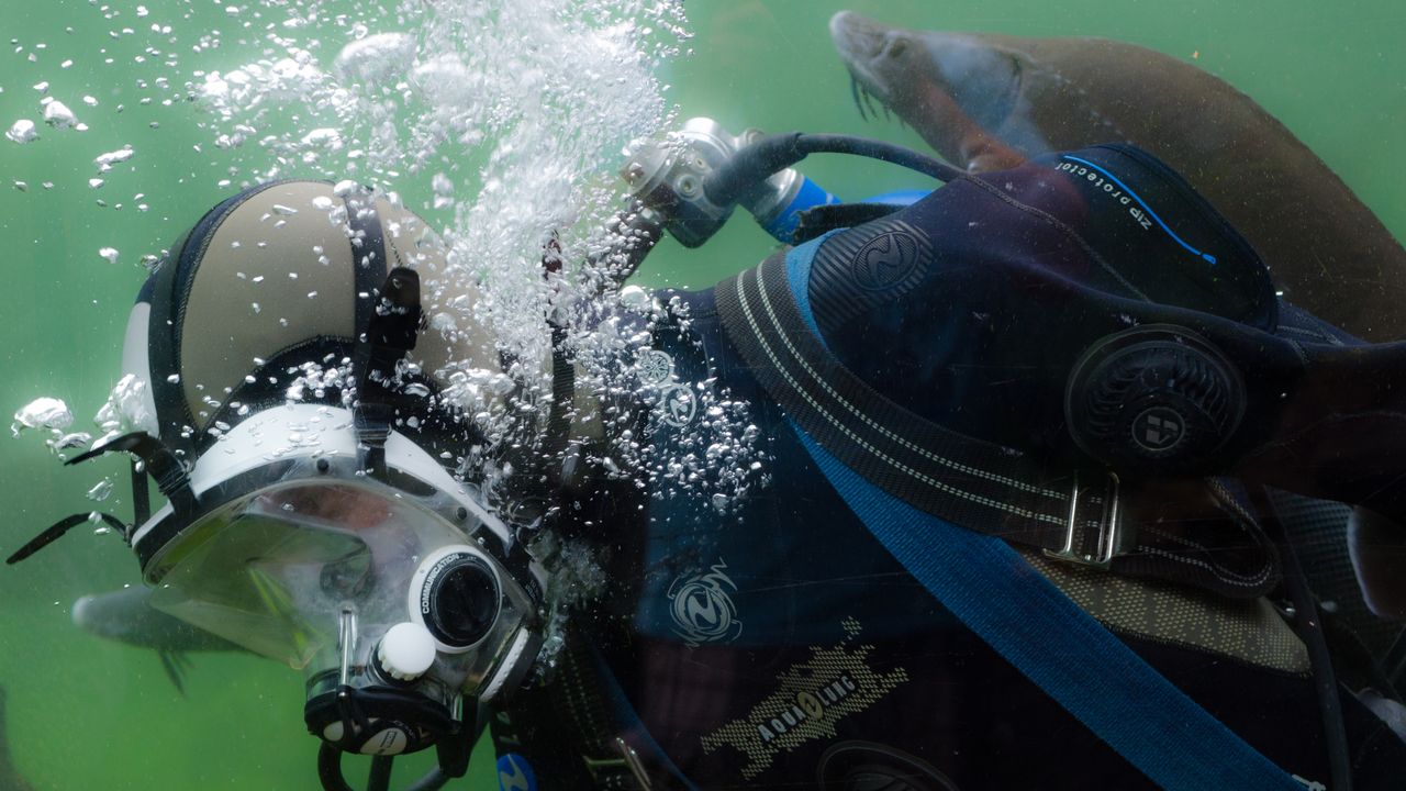 Diver in a full-face mask underwater