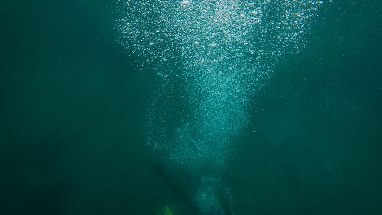 Bubbles rising through green water
