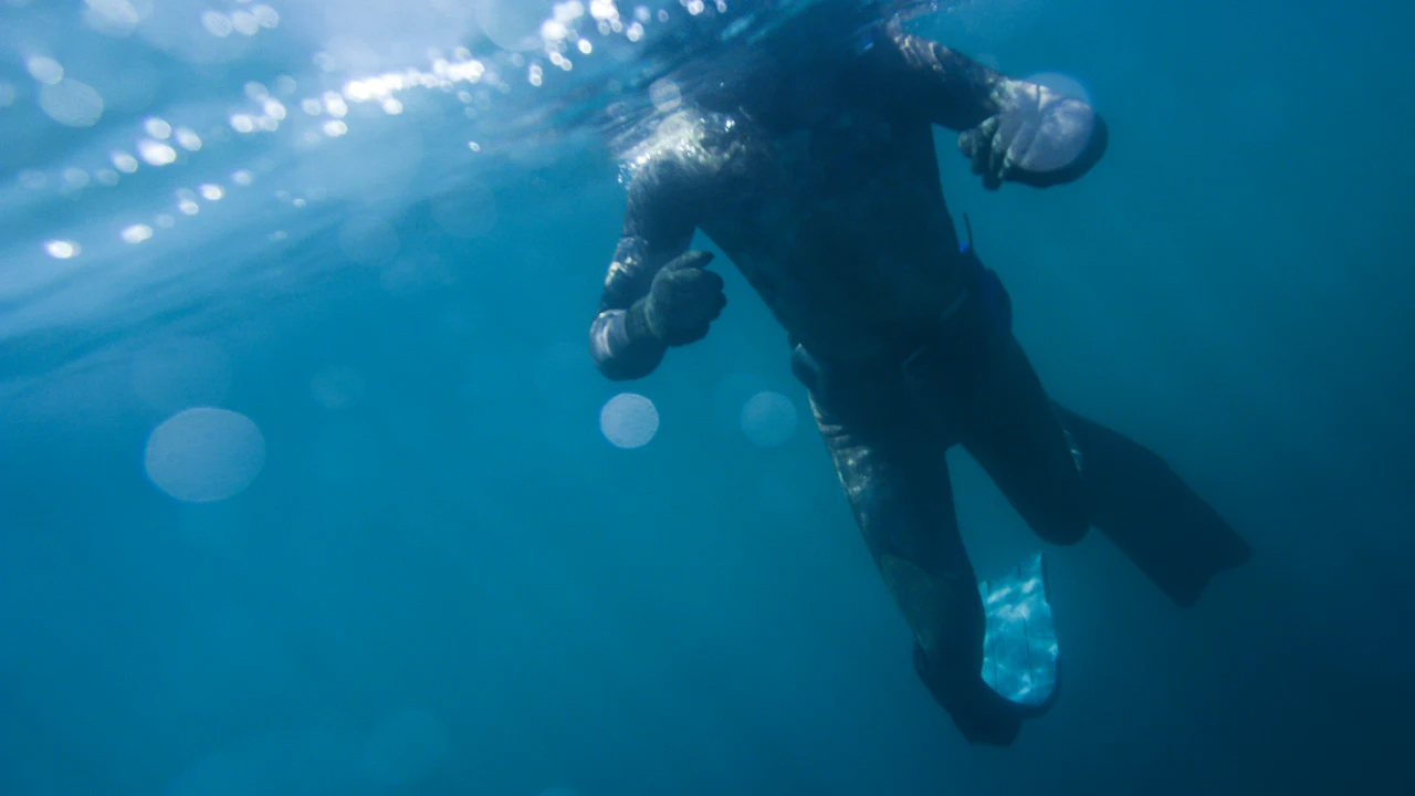 Diver swimming in blue water