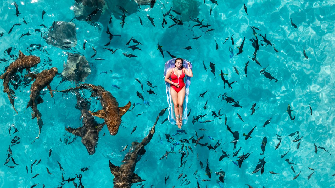 Swimmer on a float in clear shallow water surrounded by nurse sharks and rays
