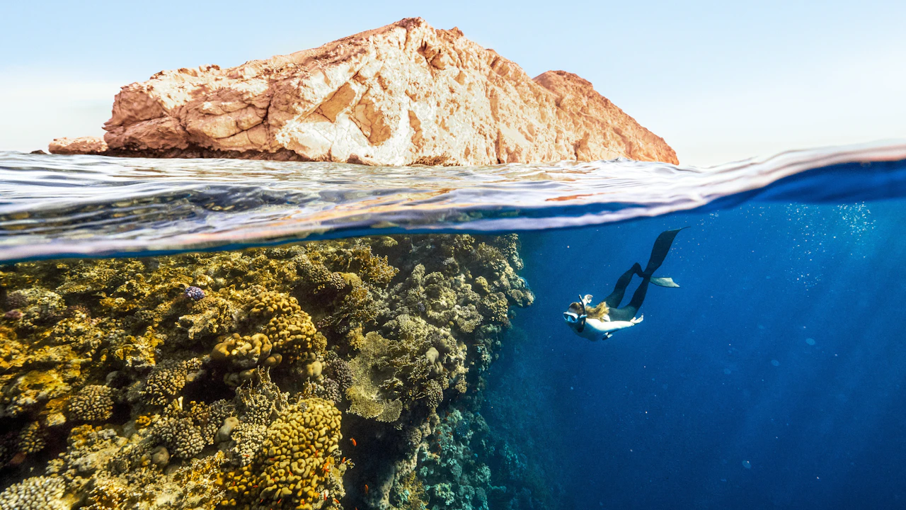Split view of a rocky islet above the water and a diver beside coral below