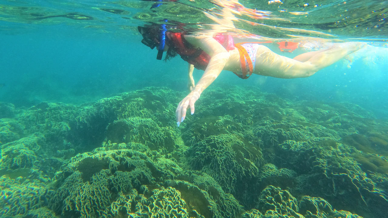 Snorkeler in a mask and snorkel floating face down over a coral reef