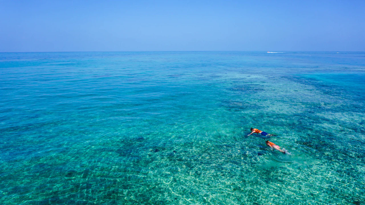 Two snorkelers swimming side by side at the surface of clear water