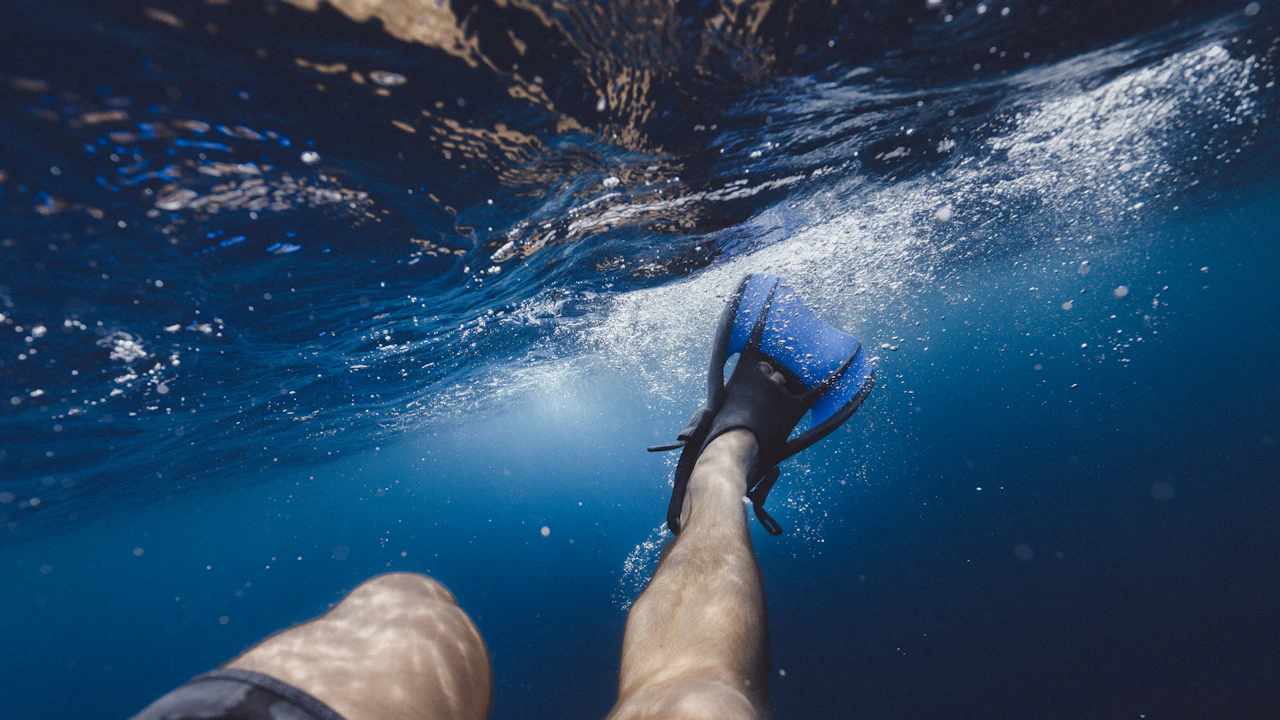 Snorkeler kicking with fins just below the surface