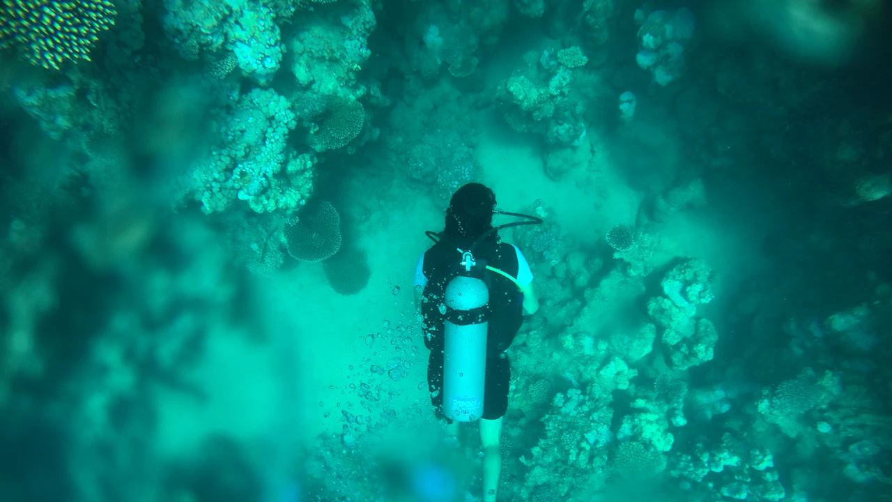 Diver descending beside a steep reef wall into deep blue water