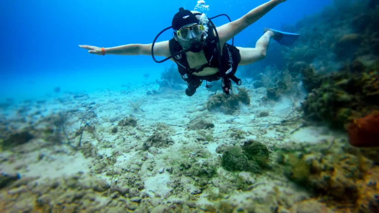 Scuba diver hovering in clear blue water above a coral reef