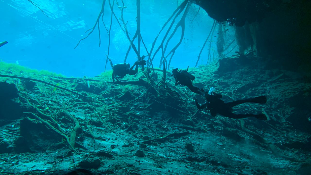 Scuba divers swimming through clear water over a rocky bottom