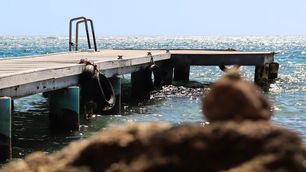 Wooden dock with a ladder on a sunny sea