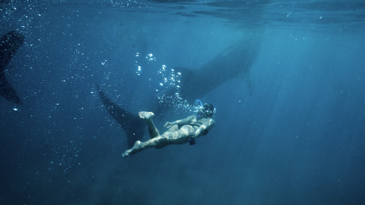 Free diver gliding through blue water