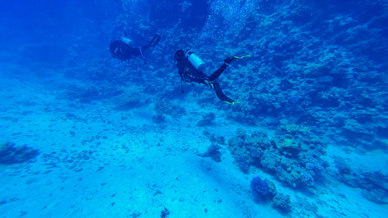 Scuba diver swimming over a coral reef in clear blue water
