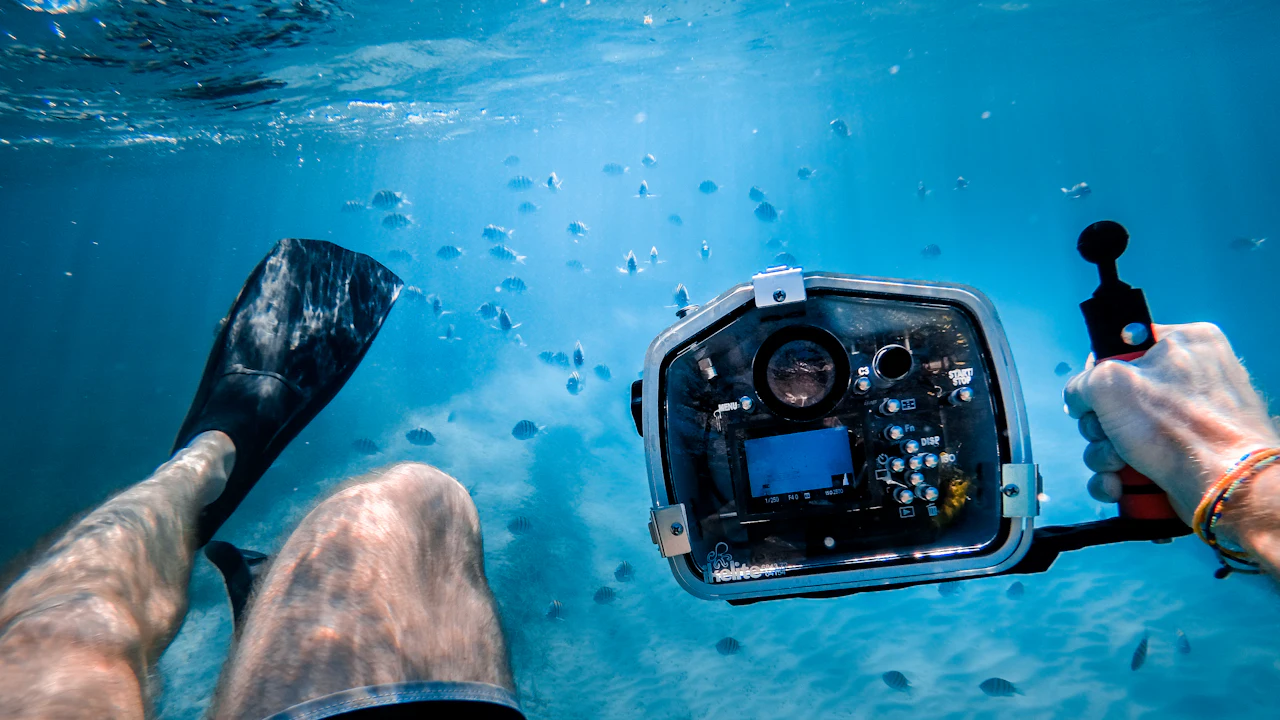 Diver view of fins and a camera in an underwater housing